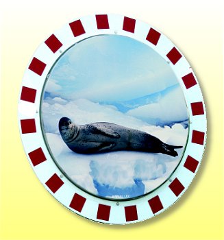(obrázek pro) Nerozbitné kruhové zrcadlo ø 600 mm ANTIFROST - Kliknutím na obrázek zavřete